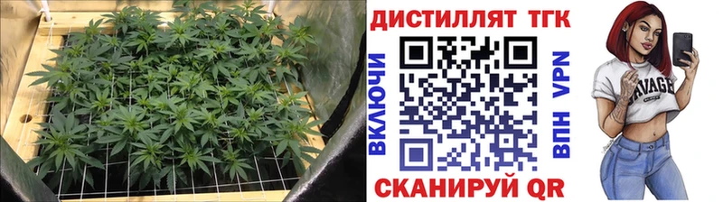 Купить закладки  Куровское  ТГК вейп 