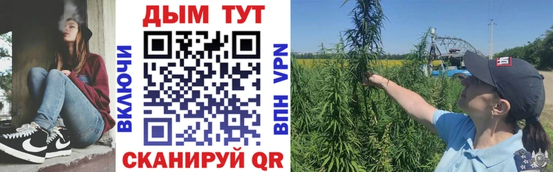 Канабис ГИДРОПОН  Купить  Куровское 